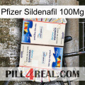 Pfizer Sildenafil 100Mg kamagra1